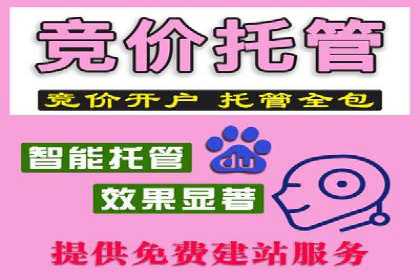 SEM代理助力企业：案例解析与优化技巧